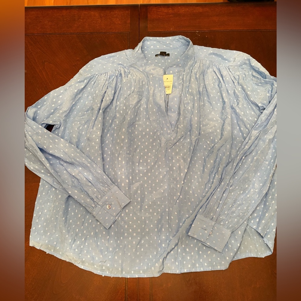 Ann Taylor periwinkle Blue Blouse with White Dots